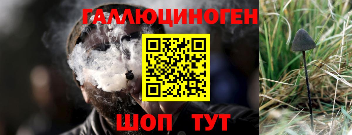 Псилоцибиновые грибы GOLDEN TEACHER  Галлюциногенные грибы мицелий  Вход с VPN  Новочебоксарск 